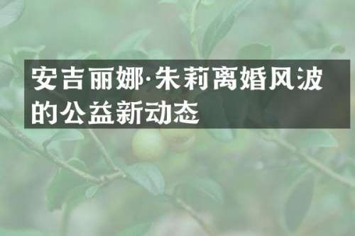 安吉丽娜·朱莉离婚风波后的公益新动态