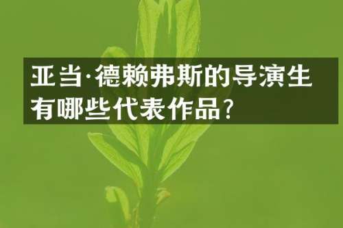 亚当·德赖弗斯的导演生涯有哪些代表作品？