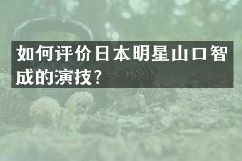 如何评价日本明星山口智成的演技？