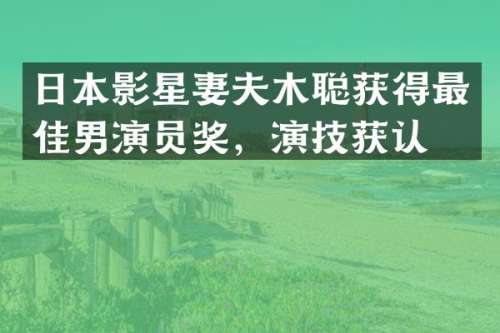日本影星妻夫木聪获得最佳男演员奖，演技获认可
