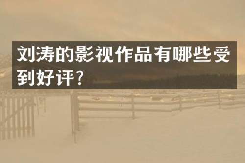 刘涛的影视作品有哪些受到好评？