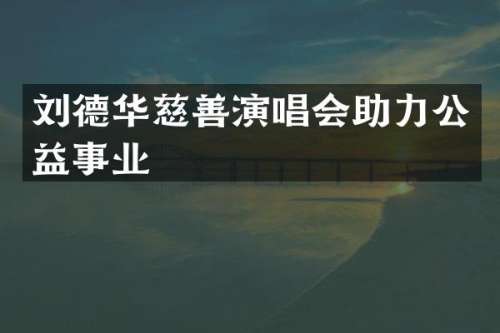 刘德华慈善演唱会助力公益事业