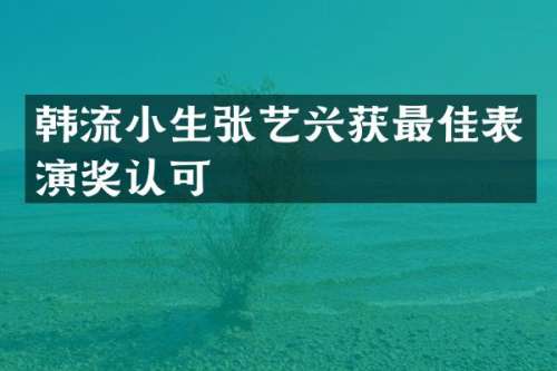 韩流小生张艺兴获最佳表演奖认可