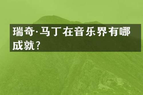 瑞奇·马丁在音乐界有哪些成就？