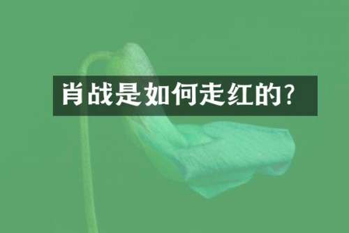 肖战是如何走红的？