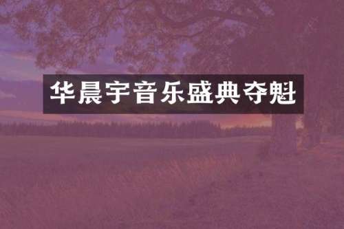 华晨宇音乐盛典夺魁
