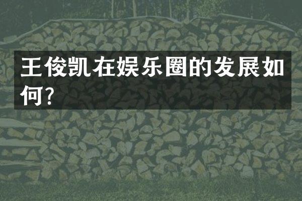 王俊凯在娱乐圈的发展如何？