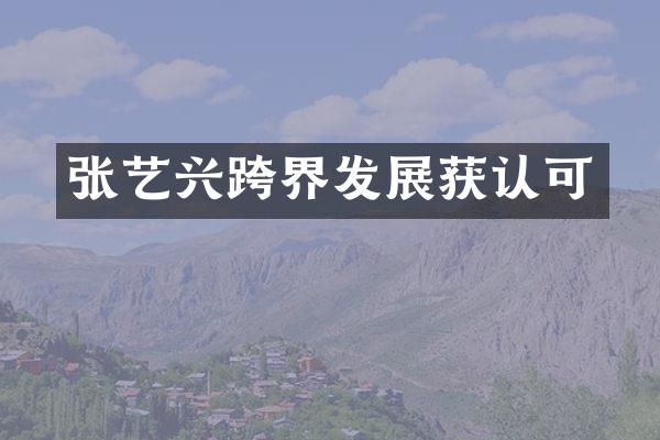 张艺兴跨界发展获认可
