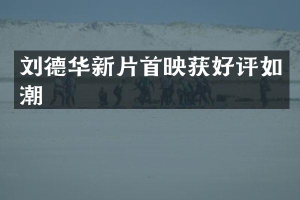 刘德华新片首映获好评如潮
