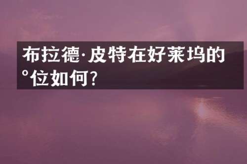 布拉德·皮特在好莱坞的地位如何？