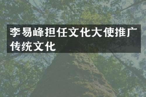 李易峰担任文化大使推广传统文化