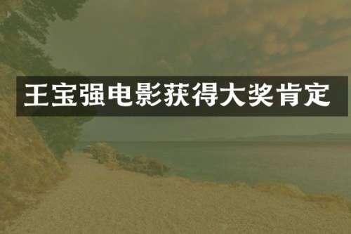 王宝强电影获得大奖肯定