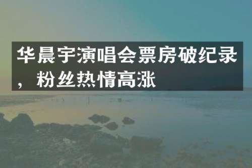 华晨宇演唱会票房破纪录，粉丝热情高涨