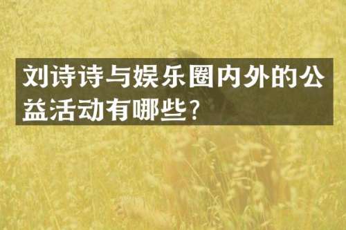 刘诗诗与娱乐圈内外的公益活动有哪些？
