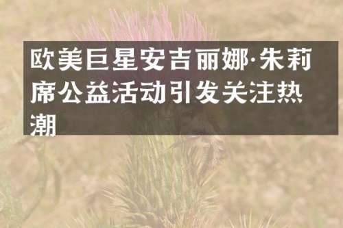 欧美巨星安吉丽娜·朱莉出席公益活动引发关注热潮
