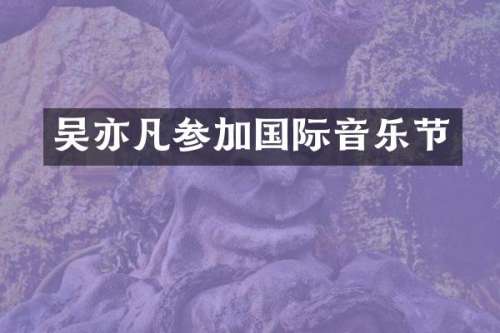 吴亦凡参加国际音乐节