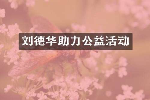 刘德华助力公益活动