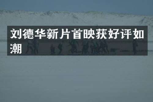 刘德华新片首映获好评如潮
