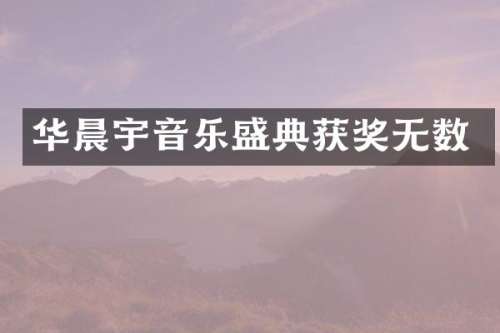 华晨宇音乐盛典无数