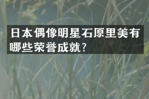 日本偶像明星石原里美有哪些荣誉成就？