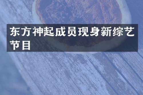 东方神起成员现身新综艺节目