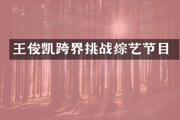 王俊凯跨界挑战综艺节目
