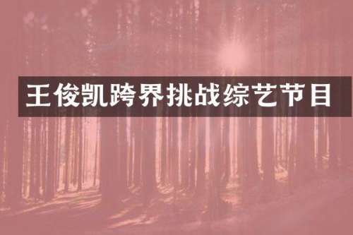 王俊凯跨界挑战综艺节目