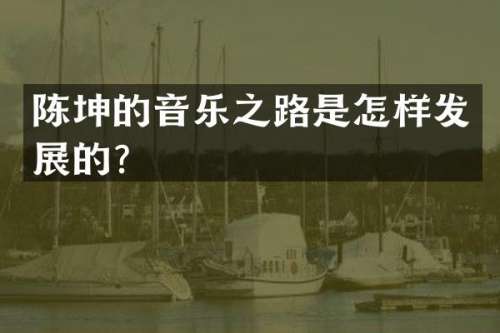 陈坤的音乐之路是怎样发展的？