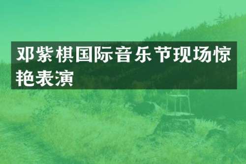 邓紫棋国际音乐节现场惊艳表演