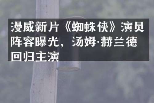 漫威新片《蜘蛛侠》演员阵容曝光，汤姆·赫兰德回归主演