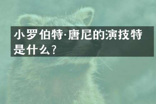 小罗伯特·唐尼的演技特点是什么？