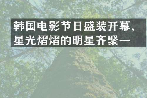 韩国电影节日盛装开幕，星光熠熠的明星齐聚一堂