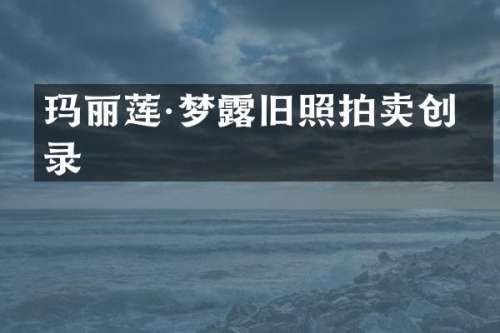 玛丽莲·梦旧照拍卖创纪录