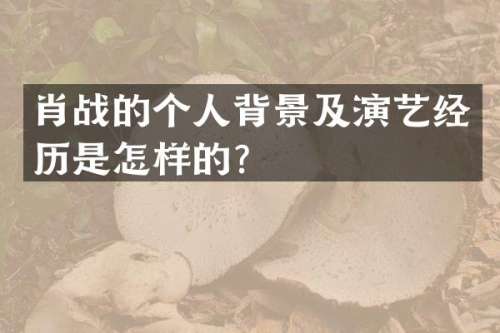 肖战的个人背景及演艺经历是怎样的？