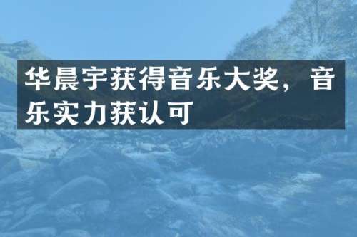 华晨宇获得音乐大奖，音乐实力获认可