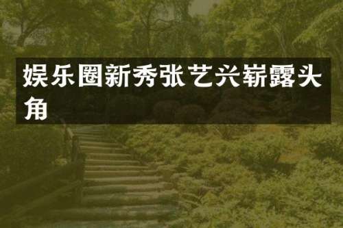 娱乐圈新秀张艺兴崭头角