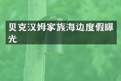 贝克汉姆家族海边度假曝光