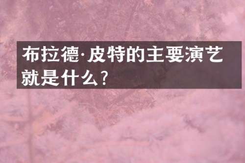 布拉德·皮特的主要演艺成就是什么？