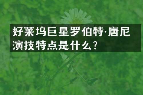 好莱坞巨星罗伯特·唐尼的演技特点是什么？