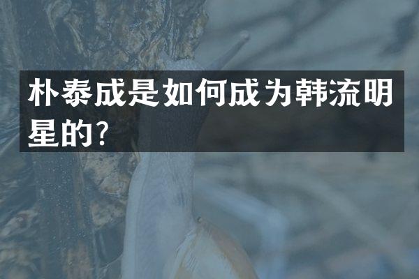 朴泰成是如何成为韩流明星的？