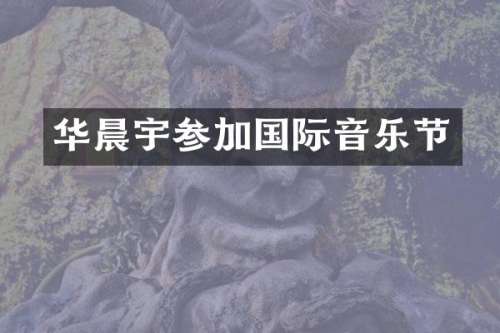 华晨宇参加国际音乐节