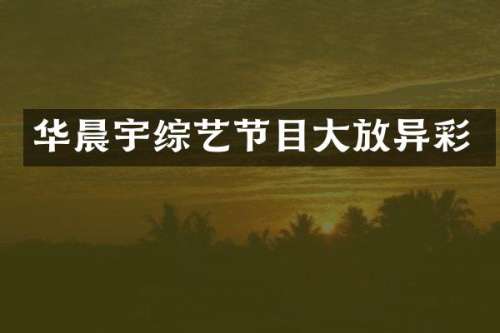 华晨宇综艺节目大放异彩