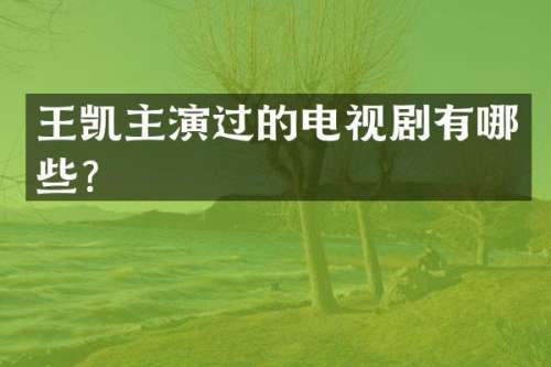 王凯主演过的电视剧有哪些？
