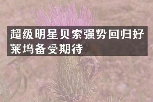超级明星贝索强势回归好莱坞备受期待