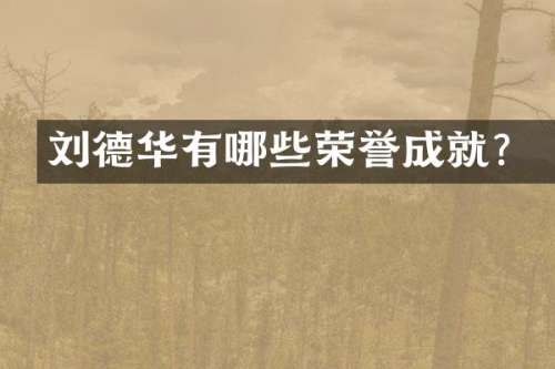 刘德华有哪些荣誉成就？