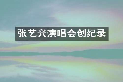 张艺兴演唱会创纪录