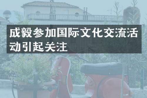 成毅参加国际文化交流活动引起关注