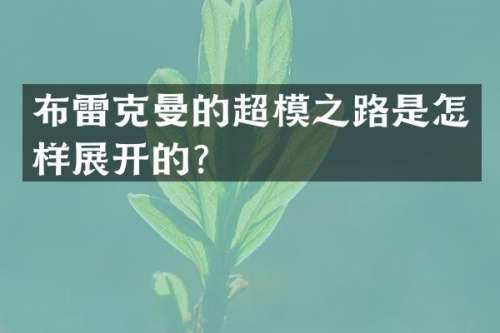 布雷克曼的超模之路是怎样展开的？