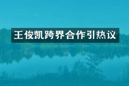 王俊凯跨界合作引热议