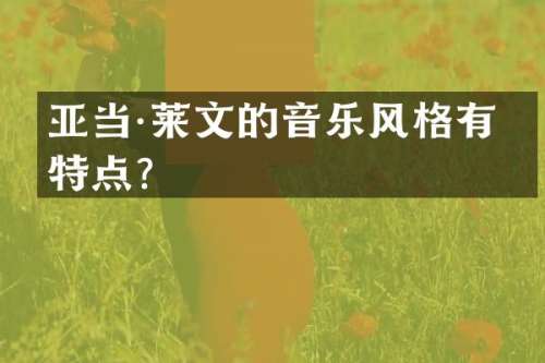 亚当·莱文的音乐风格有何特点？